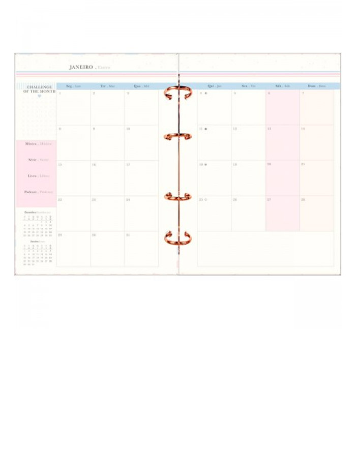 AGENDA 2024 SOHO PLANNER ARGOLADO TILIBRA